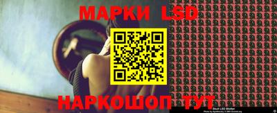 мдпв Бердск