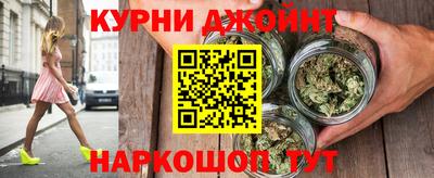 мдпв Бердск